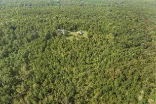 1979 Dent Rd, Musella, GA 31066 - Photo 57