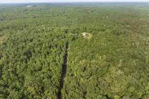 1979 Dent Rd, Musella, GA 31066 - Photo 61