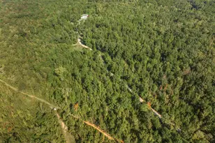 1979 Dent Rd, Musella, GA 31066 - Photo 55