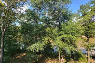 319 Riverside Dr, Hawkinsville, GA 31036 - Photo 89