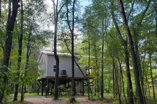 319 Riverside Dr, Hawkinsville, GA 31036 - Photo 15