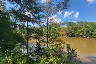 319 Riverside Dr, Hawkinsville, GA 31036 - Photo 49