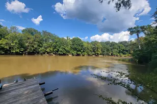 319 Riverside Dr, Hawkinsville, GA 31036 - Photo 45