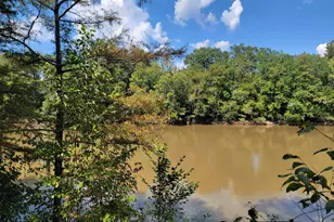 319 Riverside Dr, Hawkinsville, GA 31036 - Photo 51