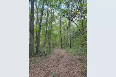 319 Riverside Drive, Hawkinsville, GA 31036 - Photo 13