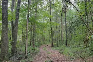 319 Riverside Dr, Hawkinsville, GA 31036 - Photo 13