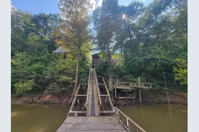 319 Riverside Drive, Hawkinsville, GA 31036 - Photo 39