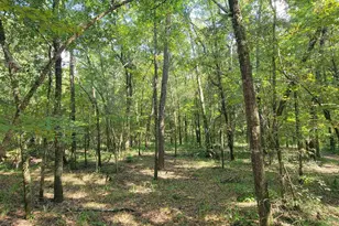 319 Riverside Dr, Hawkinsville, GA 31036 - Photo 27