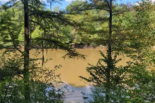 319 Riverside Dr, Hawkinsville, GA 31036 - Photo 53