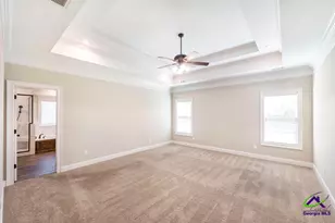 300 Pine Trace Ln, Kathleen, GA 31047 - Photo 13