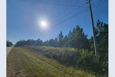 0 Benny Sharp Road, Hawkinsville, GA 31036 - Photo 3