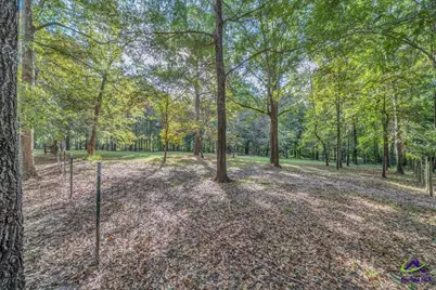 81 Peach Blossom Road, Pineview, GA 31071 - Photo 69