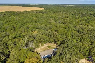 81 Peach Blossom Rd, Pineview, GA 31071 - Photo 3