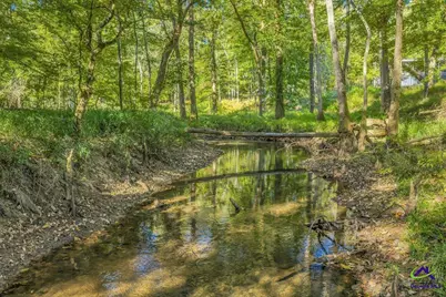 81 Peach Blossom Road, Pineview, GA 31071 - Photo 15