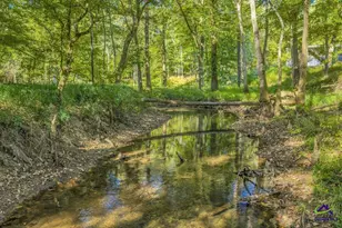 81 Peach Blossom Rd, Pineview, GA 31071 - Photo 15