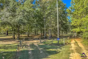 81 Peach Blossom Rd, Pineview, GA 31071 - Photo 23