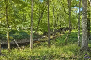 81 Peach Blossom Rd, Pineview, GA 31071 - Photo 21