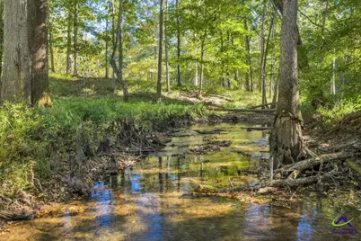81 Peach Blossom Road, Pineview, GA 31071 - Photo 19