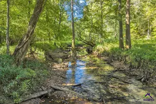 81 Peach Blossom Rd, Pineview, GA 31071 - Photo 17