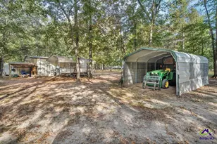 81 Peach Blossom Rd, Pineview, GA 31071 - Photo 63