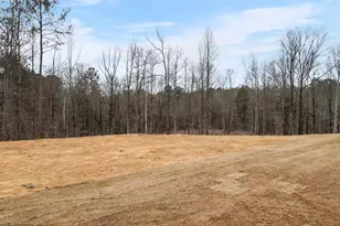 1649 Stokes Store Rd, Forsyth, GA 31029 - Photo 69