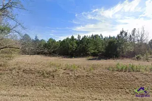 239 Canton Rd, Danville, GA 31017 - Photo 3