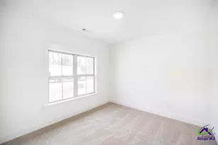 523 Bristleleaf Path, Kathleen, GA 31047 - Photo 17