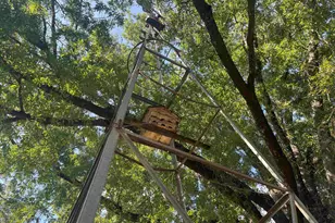 307 Woolfolk Rd, Fort Valley, GA 31030 - Photo 11