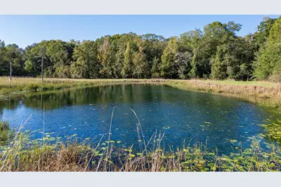 7522 Whitewater Road, Ideal, GA 31041 - Photo 3