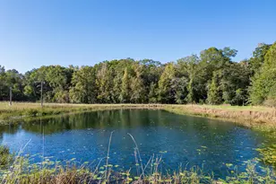 7522 Whitewater Rd, Ideal, GA 31041 - Photo 3