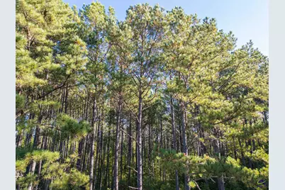 7522 Whitewater Road, Ideal, GA 31041 - Photo 31