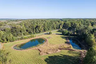 7522 Whitewater Rd, Ideal, GA 31041 - Photo 37