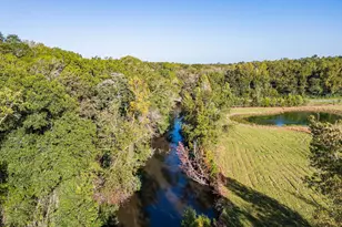 7522 Whitewater Rd, Ideal, GA 31041 - Photo 35