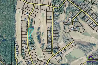 Lot 10, 11 Camden Way, Hawkinsville, GA 31036 - Photo 3