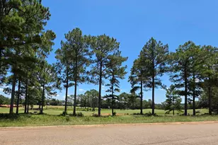 Lot 10 11 Camden Way, Hawkinsville, GA 31036 - Photo 1