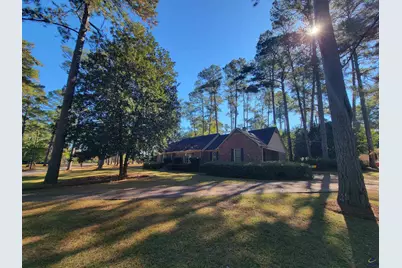 29 Pine Level Drive, Hawkinsville, GA 31036 - Photo 1