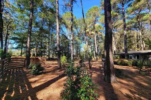 1159 Pineview Hwy, Pineview, GA 31071 - Photo 19
