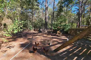 1159 Pineview Hwy, Pineview, GA 31071 - Photo 15