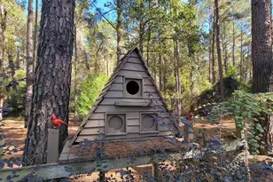 1159 Pineview Hwy, Pineview, GA 31071 - Photo 37