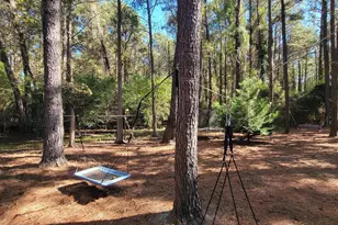 1159 Pineview Hwy, Pineview, GA 31071 - Photo 31