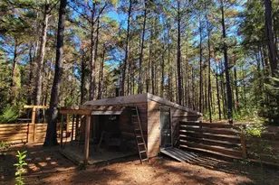 1159 Pineview Hwy, Pineview, GA 31071 - Photo 25