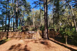 1159 Pineview Hwy, Pineview, GA 31071 - Photo 17