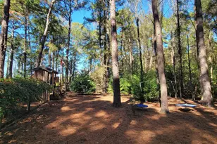 1159 Pineview Hwy, Pineview, GA 31071 - Photo 35