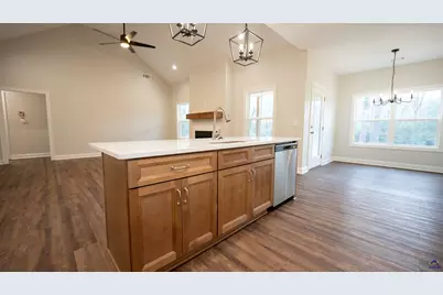 288 Frank Cook Road, Cochran, GA 31014 - Photo 13