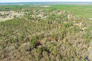 2574 Lower Hartley Bridge, Byron, GA 31008 - Photo 39