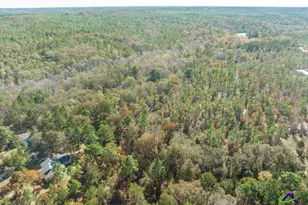 2574 Lower Hartley Bridge, Byron, GA 31008 - Photo 43