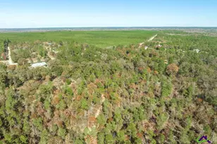 2574 Lower Hartley Bridge, Byron, GA 31008 - Photo 37