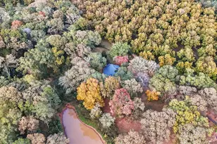 2246 Burnett Rd, Byron, GA 31008 - Photo 9