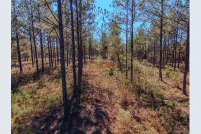 1446 Avera Road, Roberta, GA 31078 - Photo 15