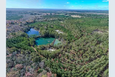 1446 Avera Road, Roberta, GA 31078 - Photo 29